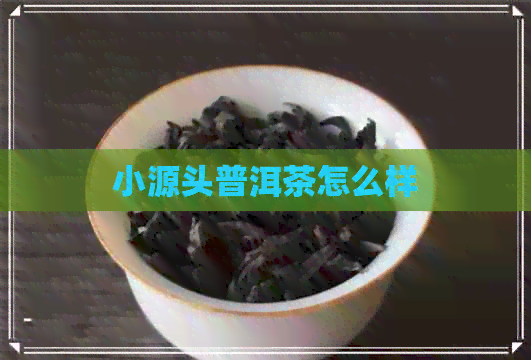 小源头普洱茶怎么样