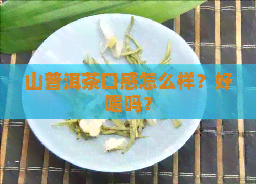 山普洱茶口感怎么样？好喝吗？