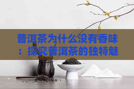 普洱茶为什么没有香味：探究普洱茶的独特魅力与内在原因