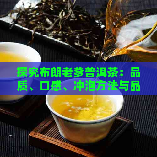 探究布朗老爹普洱茶：品质、口感、冲泡方法与品鉴技巧的全方位指南