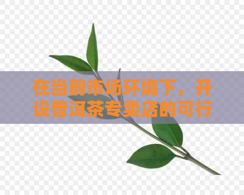 在当前市场环境下，开设普洱茶专卖店的可行性分析与策略