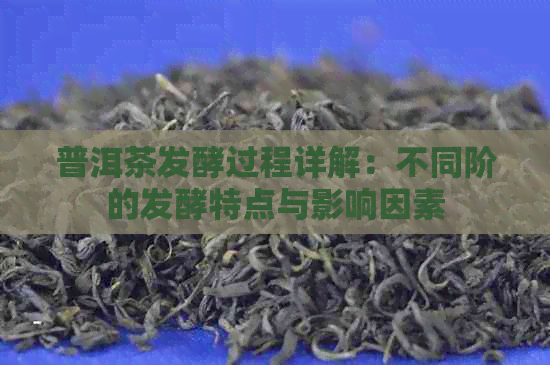 普洱茶发酵过程详解：不同阶的发酵特点与影响因素