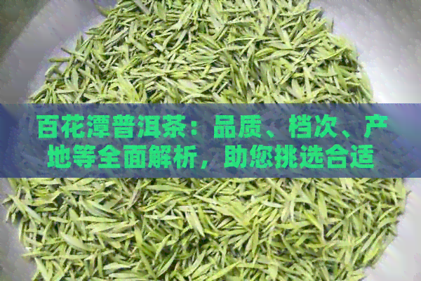 百花潭普洱茶：品质、档次、产地等全面解析，助您挑选合适的茶叶