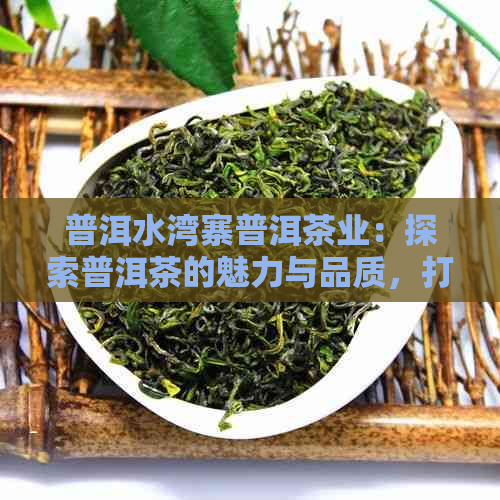 普洱水湾寨普洱茶业：探索普洱茶的魅力与品质，打造您的选择