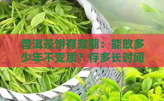 普洱茶饼有效期：能放多少年不变质？存多长时间不影响品质？