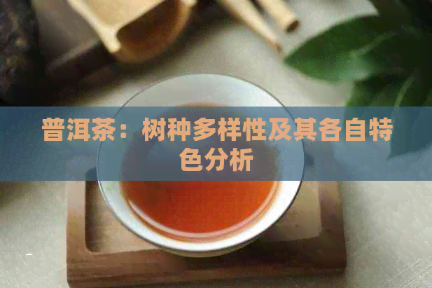 普洱茶：树种多样性及其各自特色分析