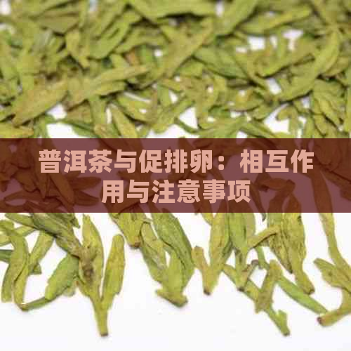 普洱茶与促排卵：相互作用与注意事项