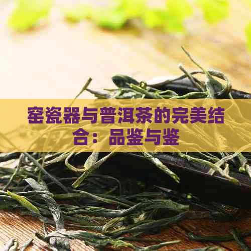 窑瓷器与普洱茶的完美结合：品鉴与鉴