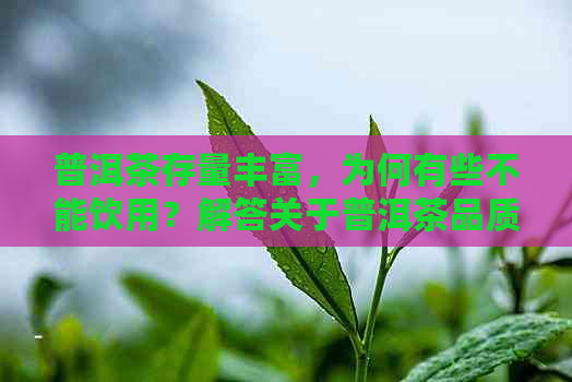 普洱茶存量丰富，为何有些不能饮用？解答关于普洱茶品质与可饮用性的问题