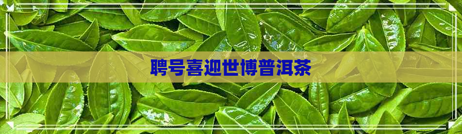 聘号喜迎世博普洱茶