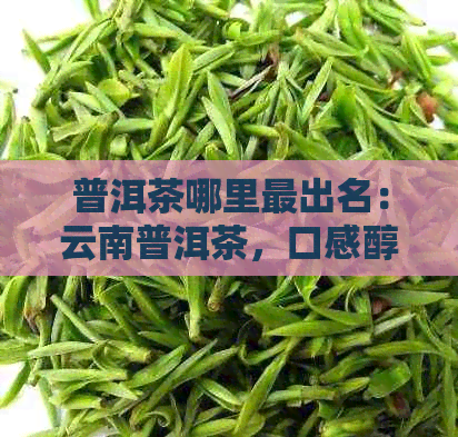 普洱茶哪里最出名：云南普洱茶，口感醇厚，产地独特。