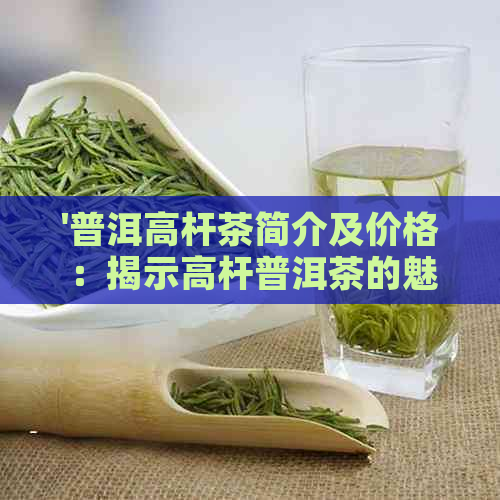 '普洱高杆茶简介及价格：揭示高杆普洱茶的魅力与价值'