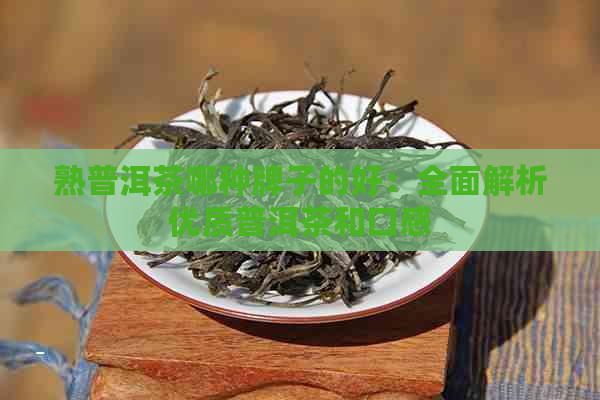 熟普洱茶哪种牌子的好：全面解析优质普洱茶和口感