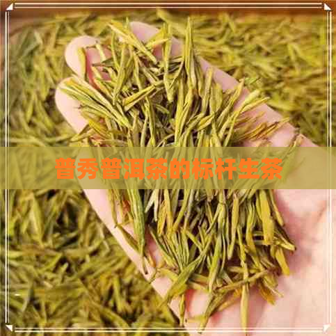 普秀普洱茶的标杆生茶