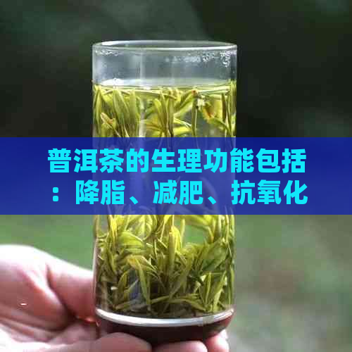 普洱茶的生理功能包括：降脂、减肥、抗氧化、降血压、降血糖等。