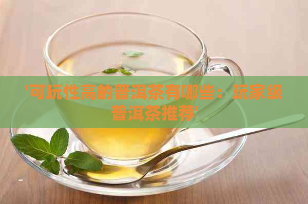 '可玩性高的普洱茶有哪些：玩家级普洱茶推荐'