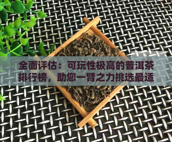 全面评估：可玩性极高的普洱茶排行榜，助您一臂之力挑选最适合您的茶品