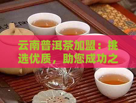 云南普洱茶加盟：挑选优质，助您成功之路