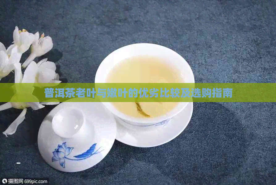 普洱茶老叶与嫩叶的优劣比较及选购指南