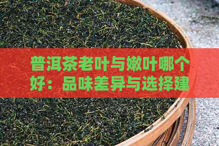 普洱茶老叶与嫩叶哪个好：品味差异与选择建议