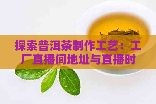 探索普洱茶制作工艺：工厂直播间地址与直播时间