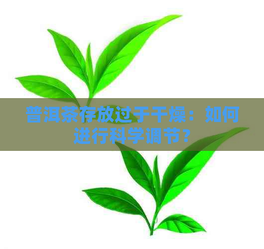 普洱茶存放过于干燥：如何进行科学调节？