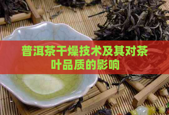 普洱茶干燥技术及其对茶叶品质的影响