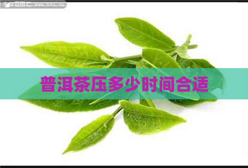 普洱茶压多少时间合适