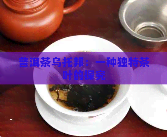 普洱茶乌托邦：一种独特茶叶的探究