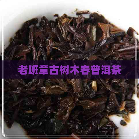 老班章古树木春普洱茶