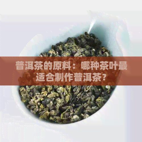 普洱茶的原料：哪种茶叶最适合制作普洱茶？