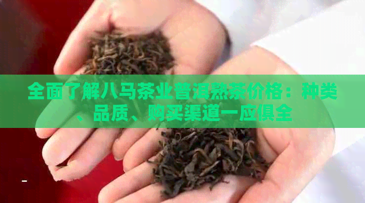 全面了解八马茶业普洱熟茶价格：种类、品质、购买渠道一应俱全