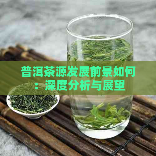 普洱茶源发展前景如何：深度分析与展望