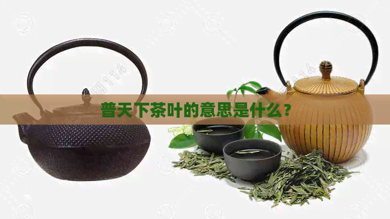 普天下茶叶的意思是什么？