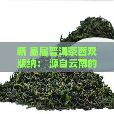 新 品居普洱茶西双版纳： 源自云南的纯净之源， 传承古树韵味