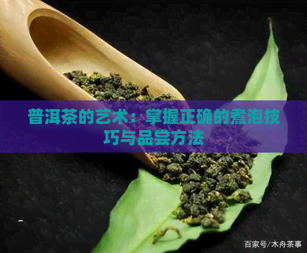 普洱茶的艺术：掌握正确的煮泡技巧与品尝方法