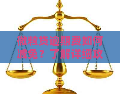 微粒贷逾期费如何减免？了解详细攻略，全面解决用户搜索需求