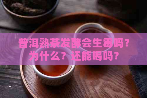 普洱熟茶发酵会生霉吗？为什么？还能喝吗？