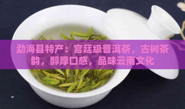 勐海县特产：宫廷级普洱茶，古树茶韵，醇厚口感，品味云南文化