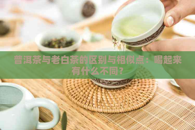 普洱茶与老白茶的区别与相似点：喝起来有什么不同？