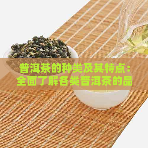 普洱茶的种类及其特点：全面了解各类普洱茶的品质、功效与冲泡方法