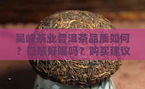 昊峰茶业普洱茶品质如何？口感好喝吗？购买建议和品尝体验分享