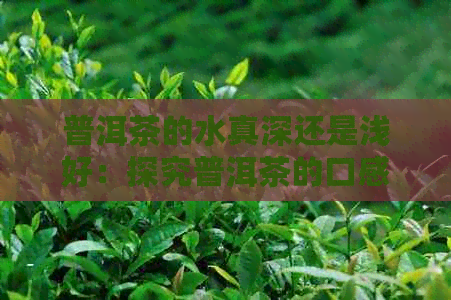 普洱茶的水真深还是浅好：探究普洱茶的口感与水质关系