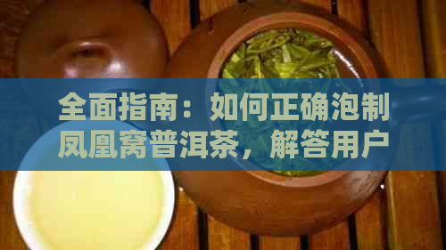 全面指南：如何正确泡制凤凰窝普洱茶，解答用户关于泡茶的各个方面疑问