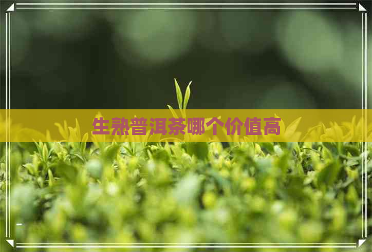 生熟普洱茶哪个价值高