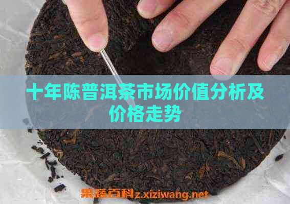 十年陈普洱茶市场价值分析及价格走势