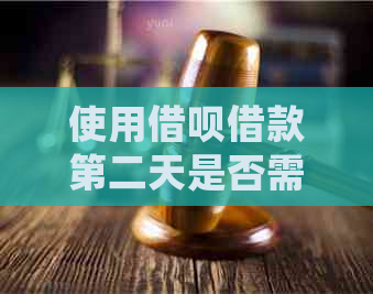 使用借呗借款第二天是否需要支付利息？了解详细情况