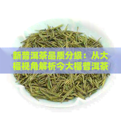 新普洱茶品质分级：从大福视角解析今大福普洱茶等级区分