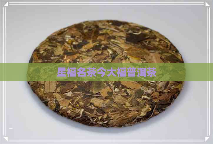 星福名茶今大福普洱茶