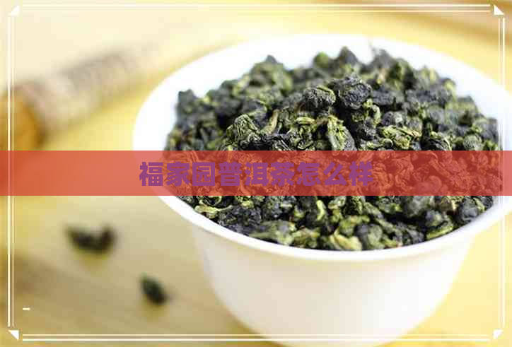 福家园普洱茶怎么样